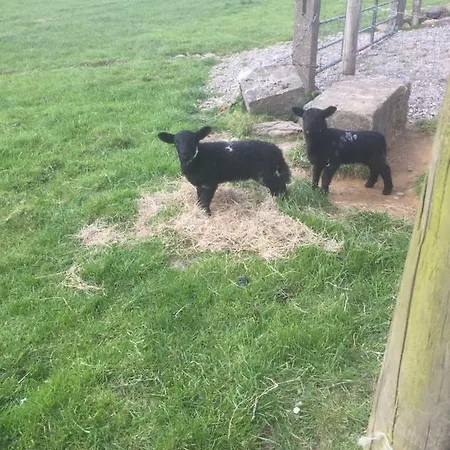 Casa de Férias Foyleview Cottage,