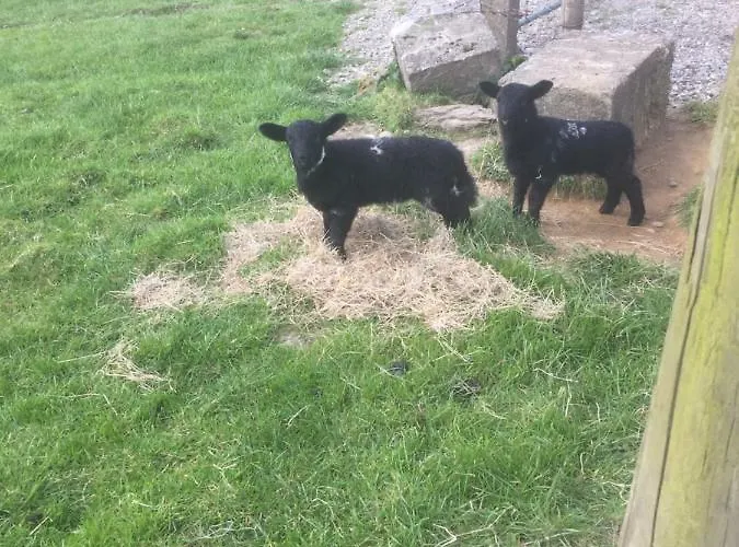 펜션 Foyleview Cottage,